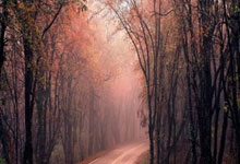 威尔士对阵芬兰，这场欧国联比赛有哪些看点？